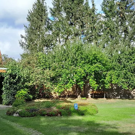 Tannenhaeuschen In Loppin *